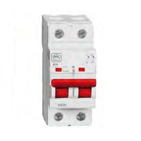 Picture of MK 63A Double Pole Isolator Switch
