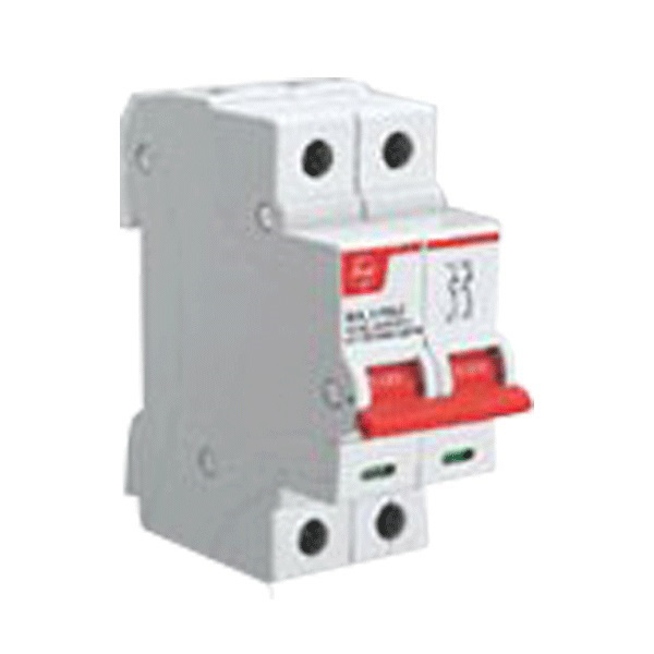 Picture of Lauritz Knudsen BF204000 40A Double Pole Isolator Switch