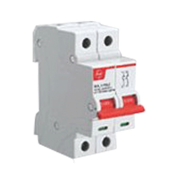 Picture of L&T BF206300 63A Double Pole Isolator Switch