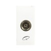 Picture of Cona Status TV Socket