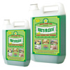 Picture of Quartz Home Care 5 ltr Wizard Disinfectant Floor Cleaner