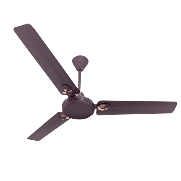 Picture of Crompton Bruna 48" Berry - Blast Ceiling Fan