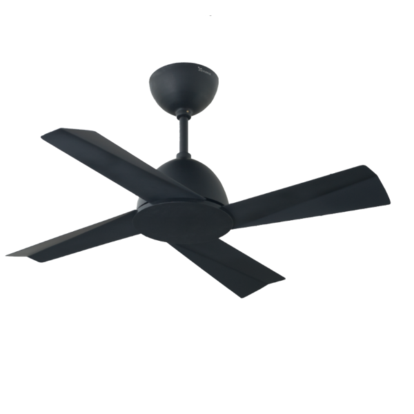 Picture of Windmill Curtiss Jr 24" Luxury Ceiling Fan