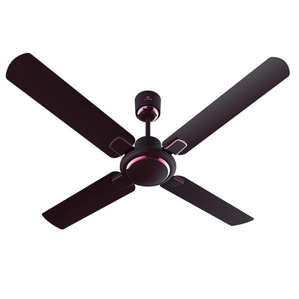 Picture of Bajaj Regal Gold NXG 48" 4 Blade Matte Wine Red Ceiling Fan