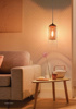 Picture of Philips Motif 582013 E-27 (Bulb Base) Copper Glass Pendant Light