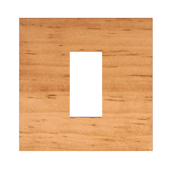 Picture of Norisys TG9 TW301.07 1M Size Plate With 1M Window Pinewood Solid Wood Cover Plates With Frames