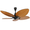 Picture of The Fan Studio Belleza 50" Luxury Ceiling Fan