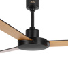 Picture of The Fan Studio Moonface 24" Luxury Ceiling Fan