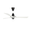 Picture of The Fan Studio Relic 24" Luxury Ceiling Fan